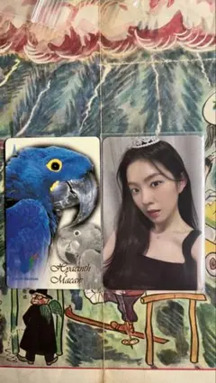 Queendom アイリーン トレカ