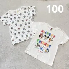 Item thumbnail for item 654b708e-0012-4779-b8b6-46739c33996f