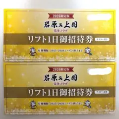 2026年最新】岩原 上国 リフト券の人気アイテム - メルカリ