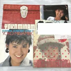 南野陽子 パンフレット 下敷き ブロマイド チケット半券