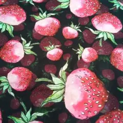 Item thumbnail for item 32b0d841-d7a7-42ca-927b-acd77df04dbe