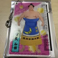 大相撲 アクリルトレカ 宇良