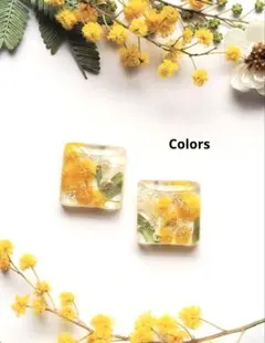 ②ハンドメイドピアスイヤリング　レジン　ミモザドライフラワー　シェル　スクエア