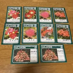ジャポニカ学習帳セットのサムネイル