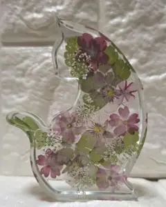 固まるハーバリウム ねこの中のお花畑