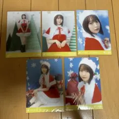 乃木坂46 阪口珠美　クリスマス2021 個別生写真5種類コンプ