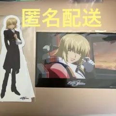 ガンダムSEED 種エク カガリ 2点セット