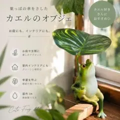 人気 カエル オブジェ インテリア ガーデニング カエル 無事帰る 玄関 置き物