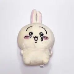 2025年最新】泣いちゃった うさぎの人気アイテム - メルカリ