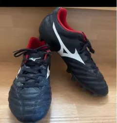 Item thumbnail for item 1619dd2f-0084-4c1a-8e12-e567175cc485