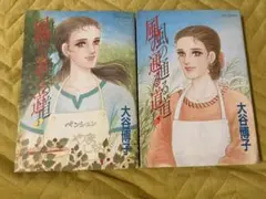 風の通る道 上下巻セット