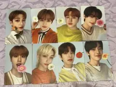 STRAY KIDS スキズ ナシフィックトレカセット