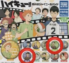 ハイキュー‼︎ 思い出シャイニー缶バッジ　澤村・東峰　2点セット