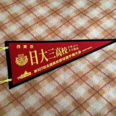 習志野高校 第91回選抜高校野球大会 記念ペナント - メルカリ