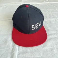 Item thumbnail for item 41bec122-aea3-40ba-8bc3-d3a2d275adbd