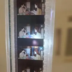 耳をすませば】フィルムブックマーカー 屋上 - メルカリ