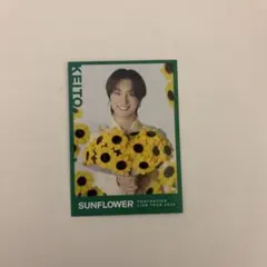 FANTASTICS 木村慧人 SUNFLOWER フォトカードのサムネイル
