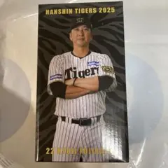 阪神タイガース 藤川球児監督 ボブルヘッド