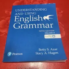 Understanding and Using English grammarA