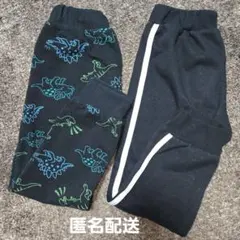 裏ボア フリース スウェットパンツ 2点セット 恐竜 ライン 120