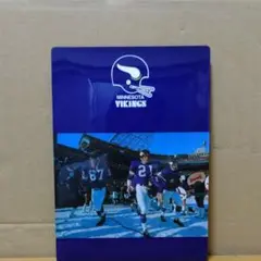 Minnesota Vikings 下敷き