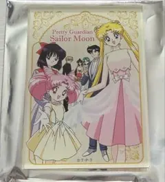 美少女戦士セーラームーン アクリルマグネットシリーズ vol.2