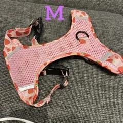 Item thumbnail for item c1b8dcd5-a0d9-40e1-85ec-ea8a6f458cbe