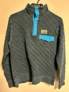 patagonia ハーフジップ フリース
