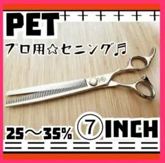 Item thumbnail for item dc449da2-cdf3-4863-a553-eb9d85808fc4