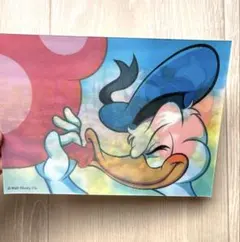 ディズニー　ポストカード　ドナルド　ディズニーランド
