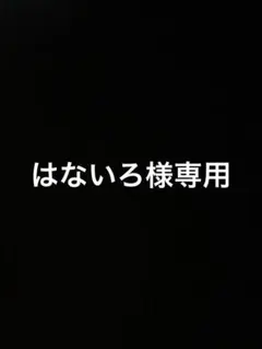 はないろ様専用ページです。