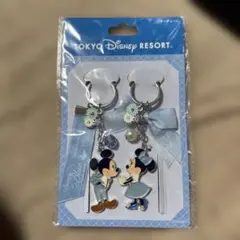 東京ディズニーリゾート ブルーエバーアフター ペアキーチェーン