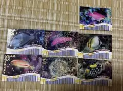 平成レトロ　マリンマリン　魚カード