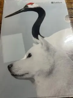 SoftBank クリアファイル 白い犬と鶴