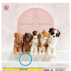 Item thumbnail for item 12495c53-ce8c-42fa-8acc-08fa7dd36d3a