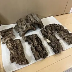 コルクボード、シェルター / 爬虫類、両生類の飼育などにのサムネイル