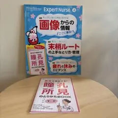 Expert Nurse 2019年4月号 エキスパートナース　付録付き