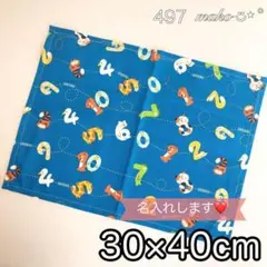 Item thumbnail for item 5bbc86b6-c77b-4733-ac13-26f9c92ad9fb