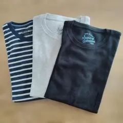 【新品未使用】 Tシャツ 160cm　３枚セット　綿100%のサムネイル