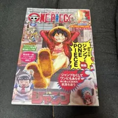 ニ*プ様 ONE PIECE ワンピースマガジン 20号プロモ付 シュリンク付き