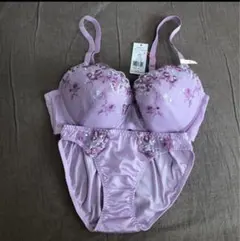 トリンプ　ブラショーツセット E75