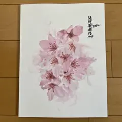 【即購入歓迎】滝沢歌舞伎ZERO FINAL パンフレット　SnowMan