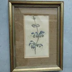 Bjork様 リクエスト 2点 まとめ商品