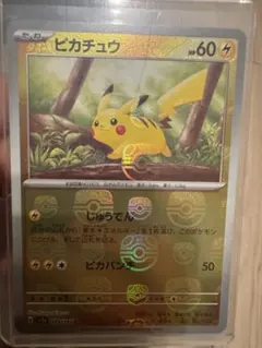 2026年最新】マスターボール ピカチュウ psa10の人気アイテム - メルカリ