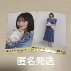 2026年最新】遠藤さくら 生写真の人気アイテム - メルカリ