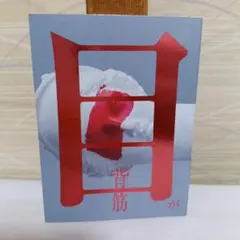 目が