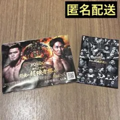 Item thumbnail for item 385f8d2e-60f0-494c-ae28-2fdec8b9e4fd