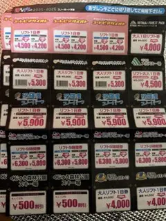 リフト券　割引券　2025-2026シーズン　スノーボード天国