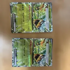 タケルライコex オーガポンみどりのめんex デッキパーツ まとめ売り