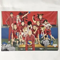 ハイキュー!! ゴミ捨て場の決戦 映画 特典 非売品